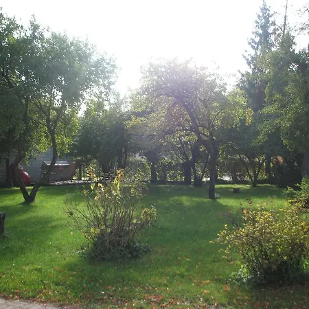 Artis Пярну